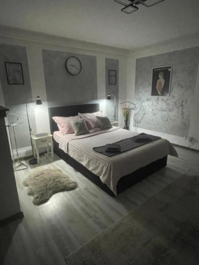 luxury central studio